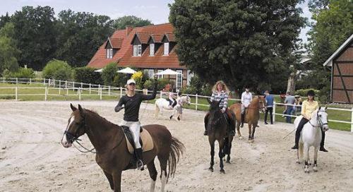 Heidehotel Gut Landliebe Hermannsburg Εξωτερικό φωτογραφία